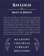 Bayleigh personalized name meaning print in navy blue