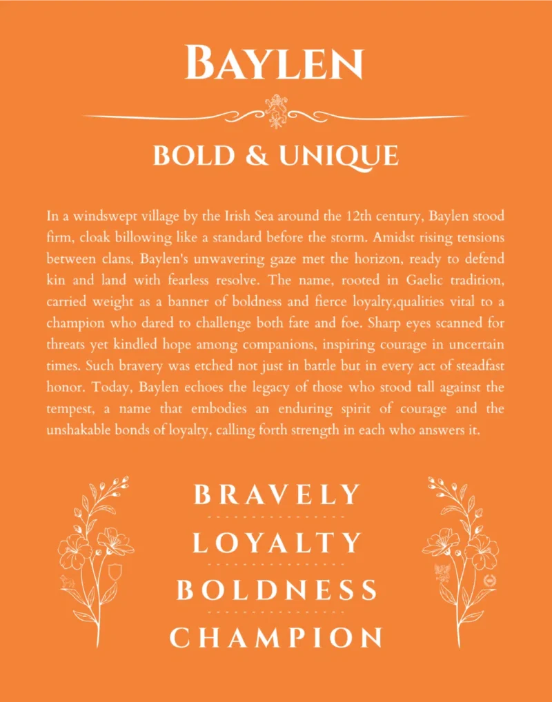 Baylen personalized name art with origin story in orange