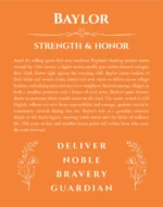 Baylor name meaning wall art by Get Your Story in orange