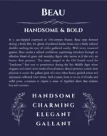 Beau custom name meaning print in navy blue