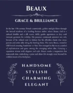 Beaux name meaning gift print in navy blue