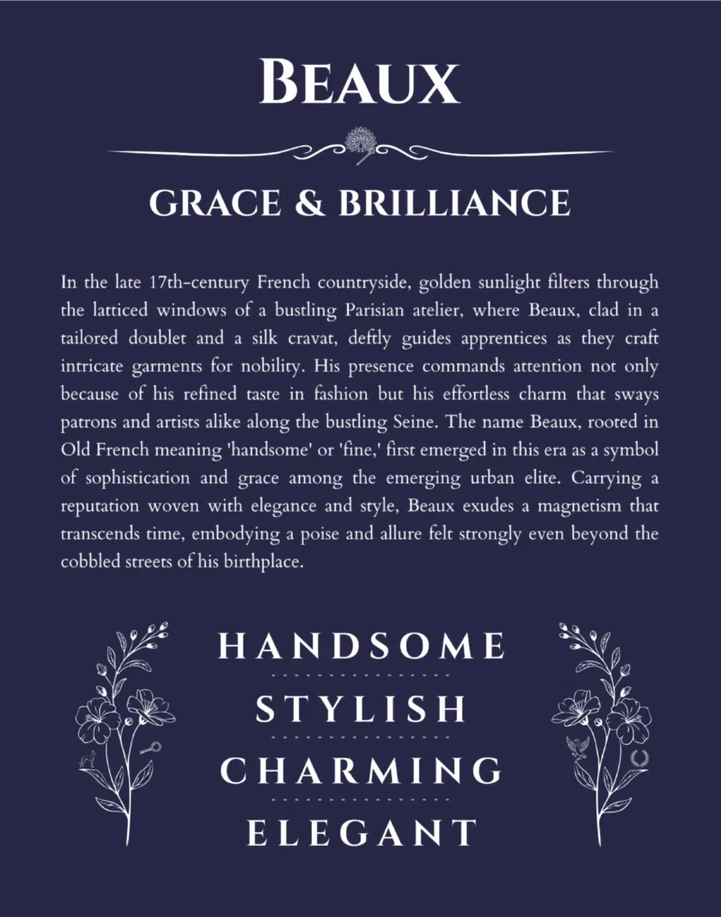 Beaux name meaning gift print in navy blue