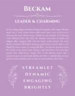 Beckam personalized name art with origin story in light purple