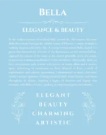 Bella custom name art showing meaning and origin in light blue