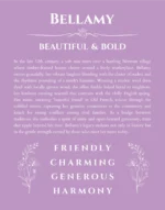 Bellamy name meaning gift print in light purple