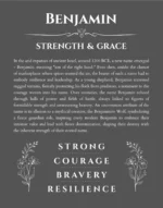 Benjamin personalized wall art with the story of your name in gray
