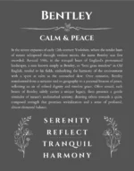 Bentley personalized wall art with the story of your name in gray