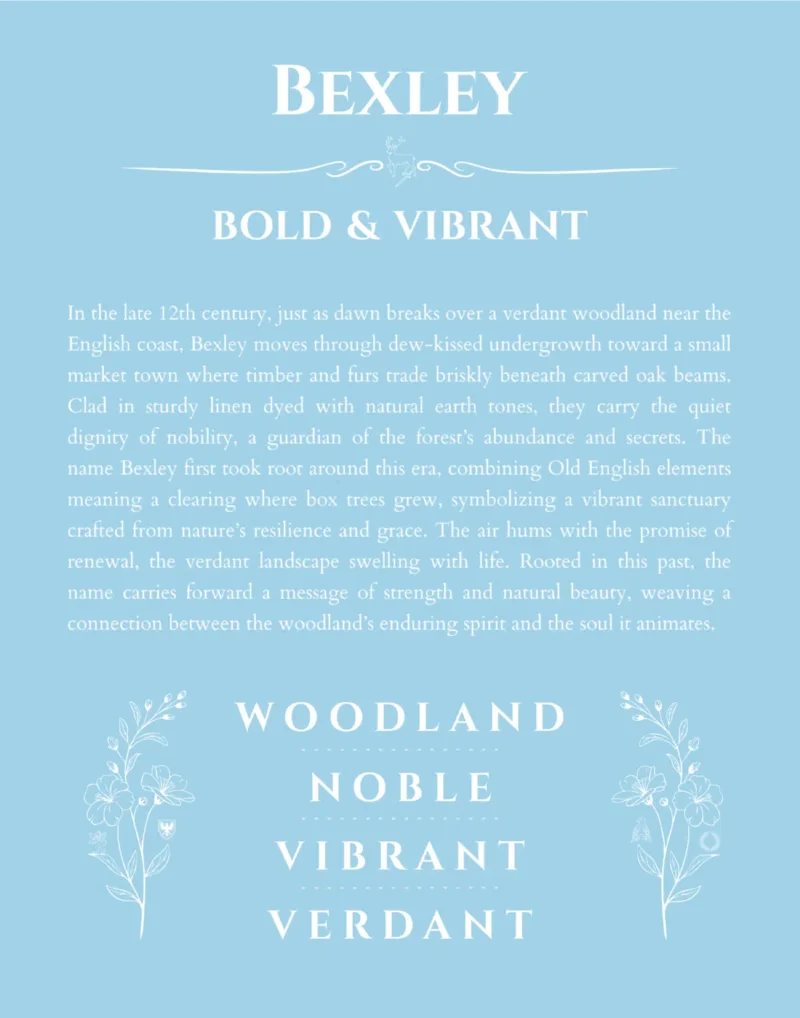 Bexley personalized name meaning print in light blue