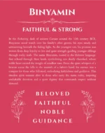 Binyamin personalized name art with origin story in red
