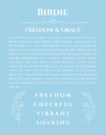 Birdie custom name art showing meaning and origin in light blue