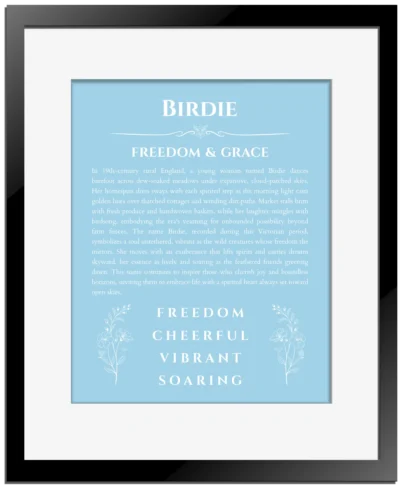 Birdie custom name art showing meaning and origin in light blue with black matte frame
