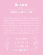 Blaine personalized name print with origin and traits in light pink