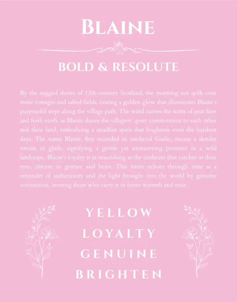 Blaine personalized name print with origin and traits in light pink