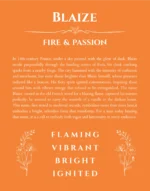 Blaize personalized name print with origin and traits in orange