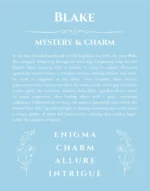 Blake custom name meaning print in light blue