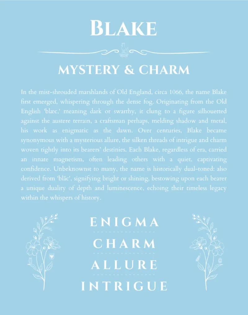 Blake custom name meaning print in light blue