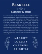 Blakelee personalized wall art with the story of your name in deep blue