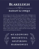 Blakeleigh personalized name print with origin and traits in navy blue