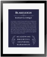 Blakeleigh personalized name print with origin and traits in navy blue with black matte frame