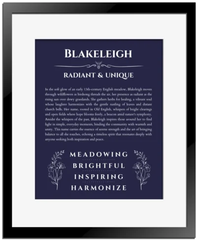 Blakeleigh personalized name print with origin and traits in navy blue with black matte frame