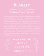 Blakely personalized name art with origin story in light pink