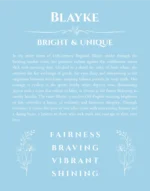 Blayke personalized name print with origin and traits in light blue