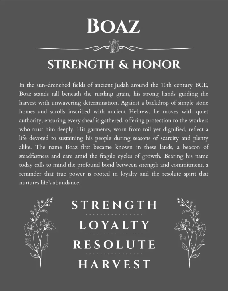 Boaz custom name art showing meaning and origin in gray