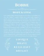 Bobbie personalized name art with origin story in light blue