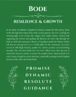 Bode personalized name art with origin story in dark green