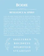 Bodie custom name print for wall display in light blue
