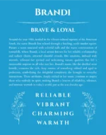 Brandi name meaning gift print in blue