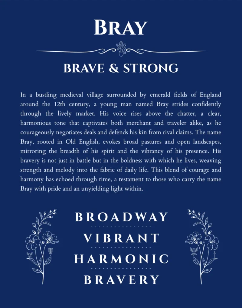 Bray custom name meaning print in deep blue