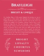 Brayleigh personalized name art with origin story in red