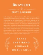 Braylon custom name meaning print in orange