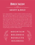 Brecken personalized name art with origin story in red