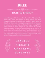 Bree custom name art showing meaning and origin in pink
