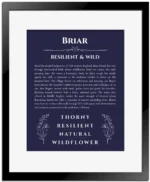 Briar personalized name meaning print in navy blue with black matte frame