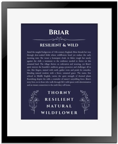 Briar personalized name meaning print in navy blue with black matte frame