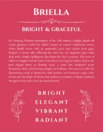 Briella name meaning wall art by Get Your Story in red