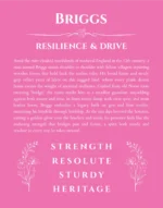 Briggs personalized name art with origin story in pink