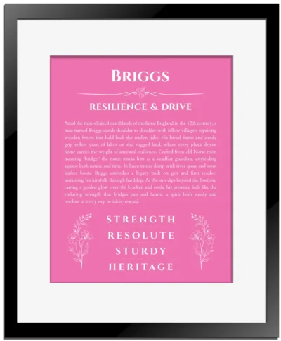 Briggs personalized name art with origin story in pink with black matte frame