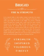 Brigid personalized name art with origin story in orange