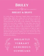 Briley personalized name art with origin story in pink