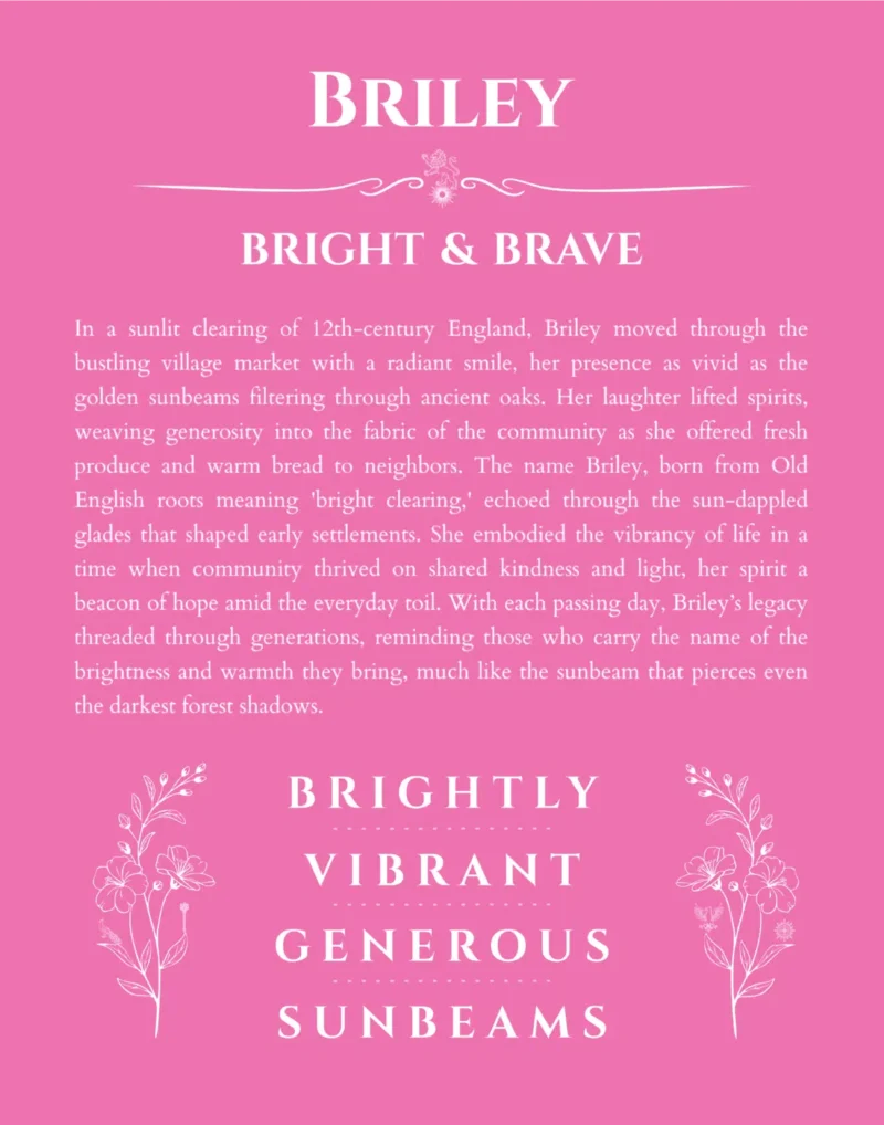 Briley personalized name art with origin story in pink