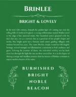 Brinlee name meaning wall art by Get Your Story in dark green