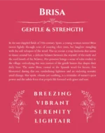 Brisa personalized name print with origin and traits in red