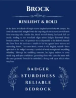 Brock personalized name art with origin story in deep blue