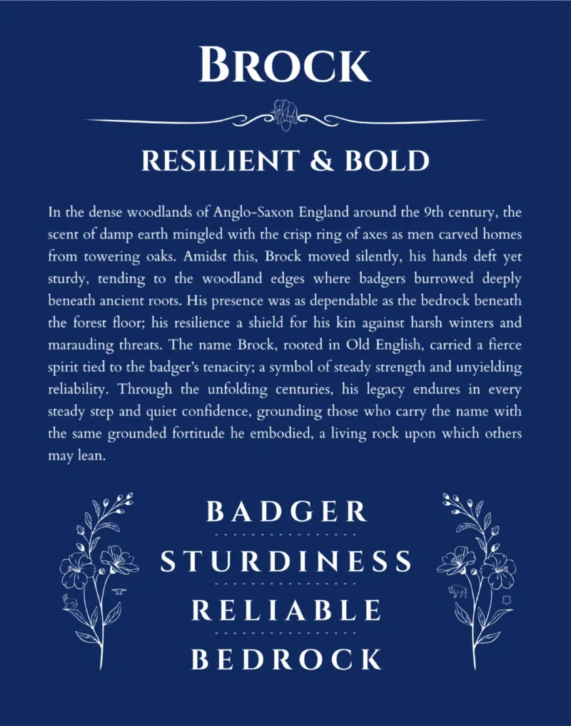 Brock personalized name art with origin story in deep blue