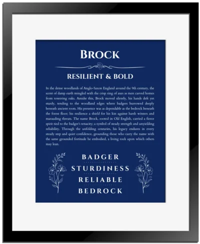 Brock personalized name art with origin story in deep blue with black matte frame