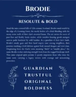 Brodie custom name art showing meaning and origin in deep blue